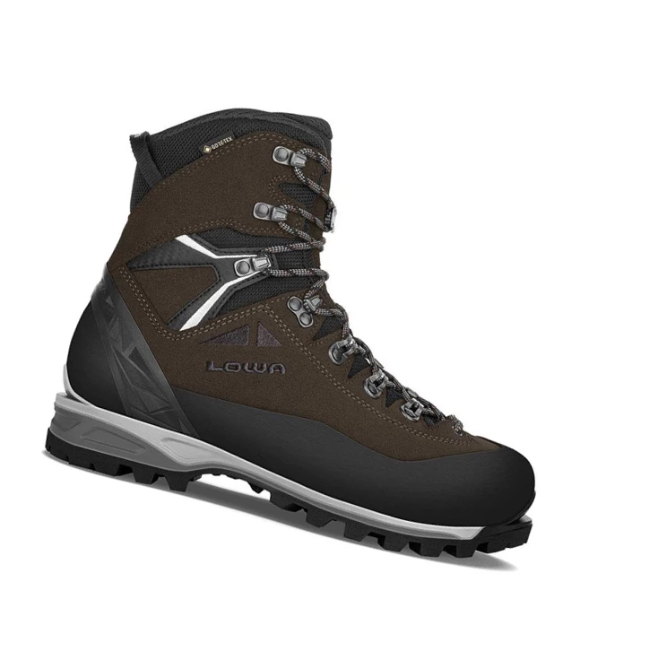 LOWA Alpine Expert II GTX Wanderstiefel Herren Dunkel | AWRQ98507