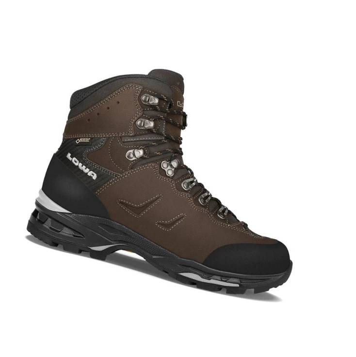 LOWA Camino GTX Trekking Boots Herren Dunkel | TEHL78902