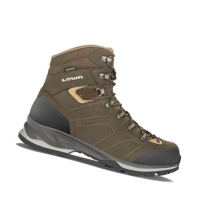 LOWA Santiago GTX Trekking Boots Herren Slate/Beige | NFAK92758